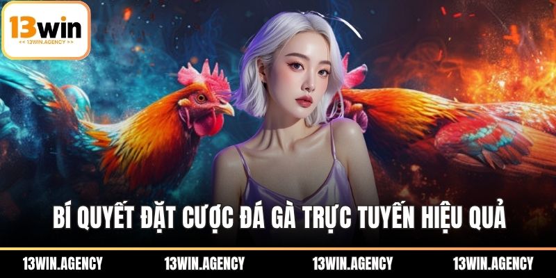 Bí quyết đặt cược đá gà trực tuyến hiệu quả