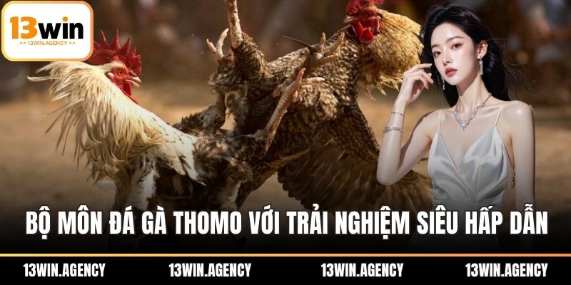 Bộ môn đá gà Thomo với trải nghiệm siêu hấp dẫn