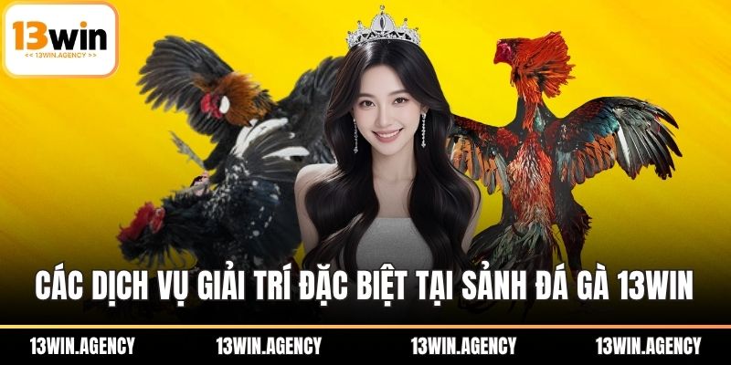 Các dịch vụ giải trí đặc biệt tại sảnh đá gà 13WIN