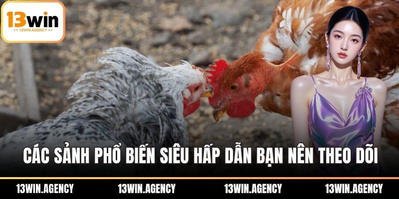 Các sảnh game phổ biến siêu hấp dẫn bạn nên theo dõi
