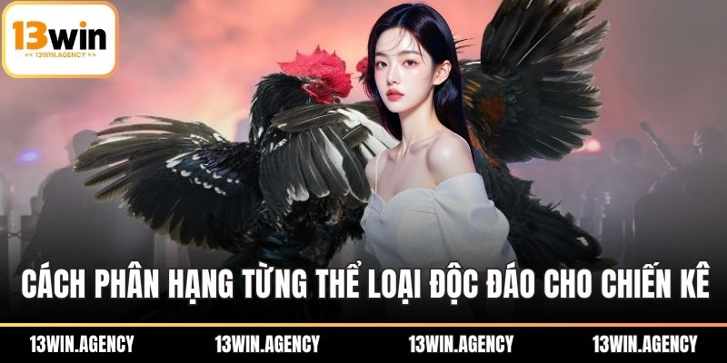 Cách phân hạng từng thể loại cược độc đáo cho chiến kê