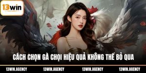 cách chọn gà chọi