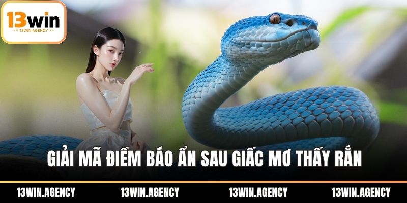 Giải mã điềm báo ẩn sau giấc mơ thấy rắn