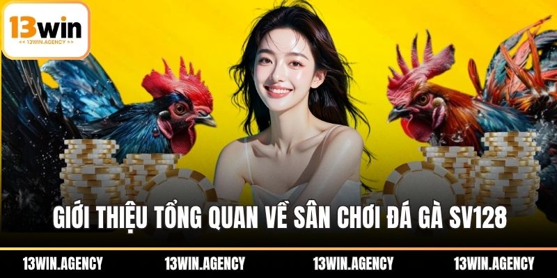 Giới thiệu tổng quan về sân chơi đá gà SV128