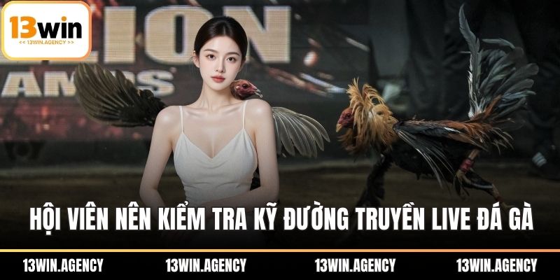 Hội viên nên kiểm tra kỹ đường truyền live đá gà