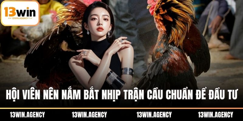 Hội viên nên nắm bắt nhịp trận cầu chuẩn để đầu tư