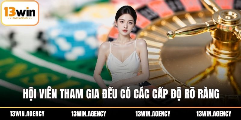 Khuyến Mãi VIP Độc Quyền – Sân Chơi Đẳng Cấp Tại 13WIN 3 Hội viên tham gia đều có các cấp độ rõ ràng
