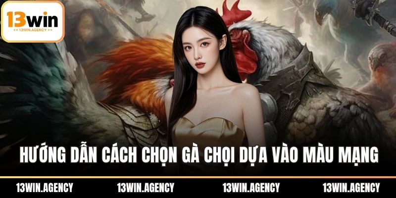 Hướng dẫn cách chọn gà chọi dựa vào màu mạng