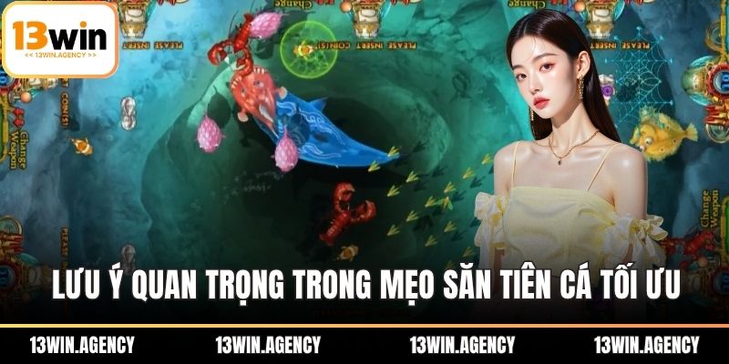Lưu ý quan trọng trong mẹo săn tiên cá tối ưu