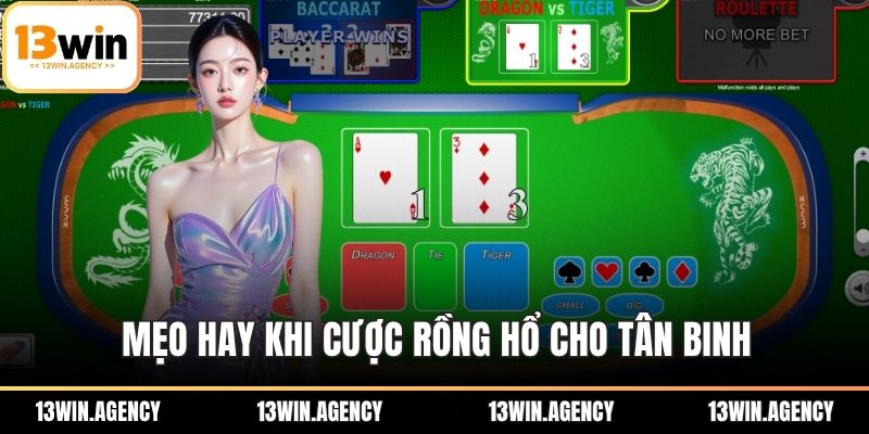 Mẹo hay khi cược Rồng Hổ cho tân binh