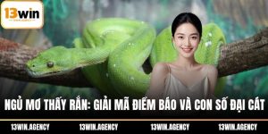 ngủ mơ thấy rắn