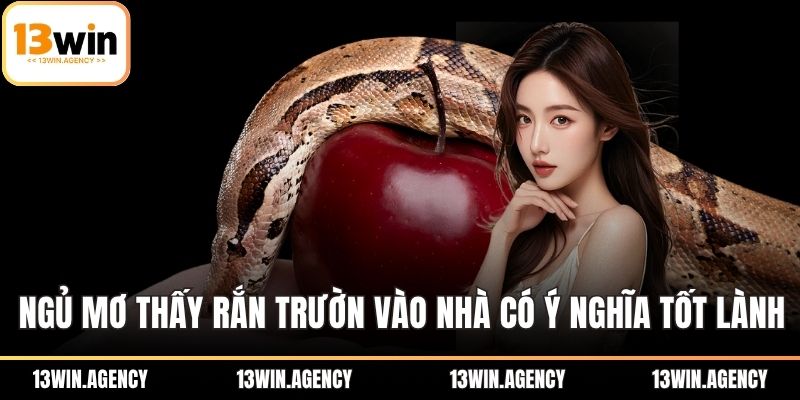 Ngủ mơ thấy rắn trườn vào nhà mang ý nghĩa tốt lành