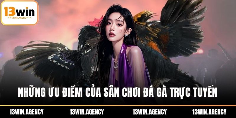 Những ưu điểm của sân chơi đá gà trực tuyến