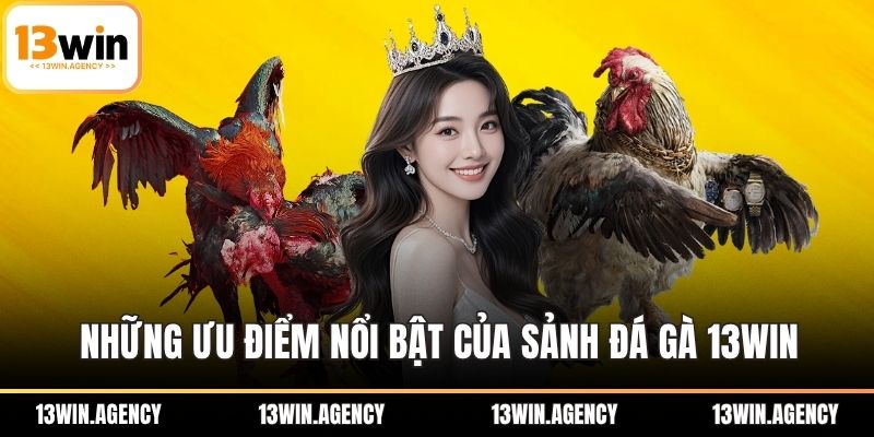 Những ưu điểm nổi bật của sảnh đá gà 13WIN