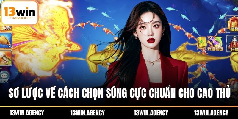 Sơ lược về cách chọn súng cực chuẩn cho cao thủ