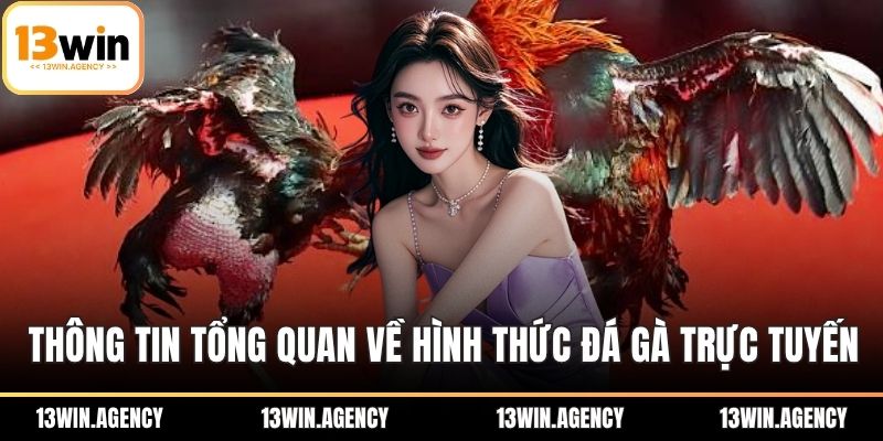 Thông tin tổng quan về hình thức đá gà trực tuyến
