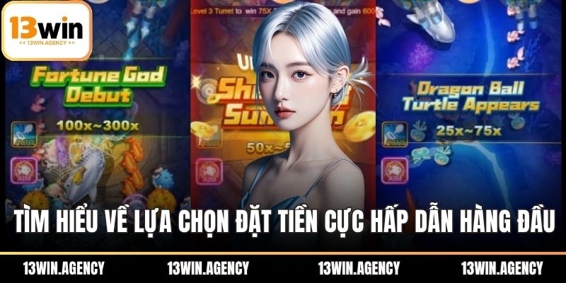 Tìm hiểu về lựa chọn đặt tiền cực hấp dẫn hàng đầu