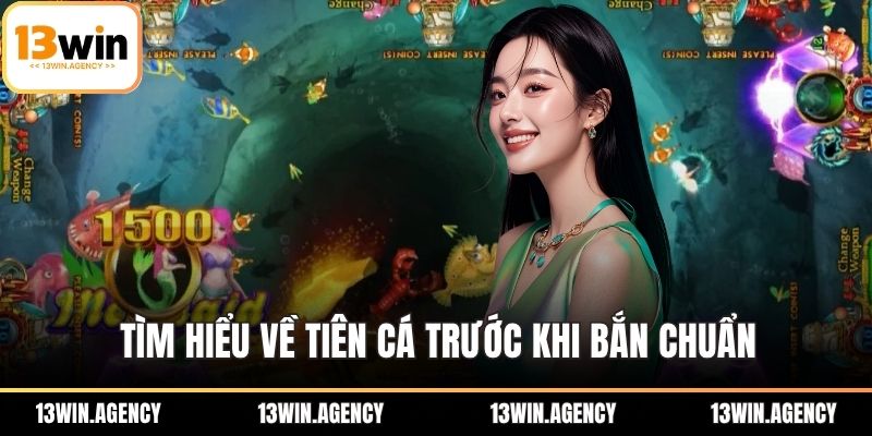 Tìm hiểu về tiên cá trước khi bắn chuẩn