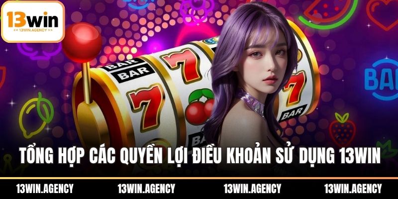 Điều Khoản Sử Dụng 13WIN – Hướng Dẫn Chi Tiết & Lưu Ý 2 Tổng hợp các quyền lợi điều khoản sử dụng 13WIN
